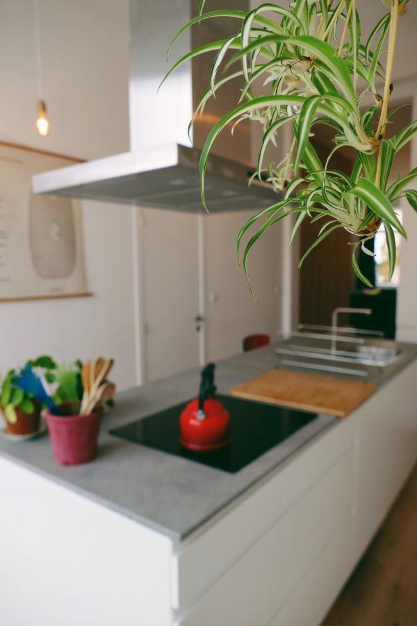 130Sqm Appartment With 20Sqm Terras And Free Parking Антверпен Екстериор снимка